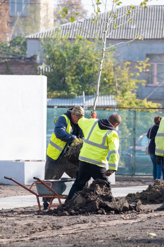 Bonsai Tree Planting